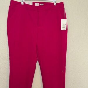 Womans hot pink pants size 12 NWT